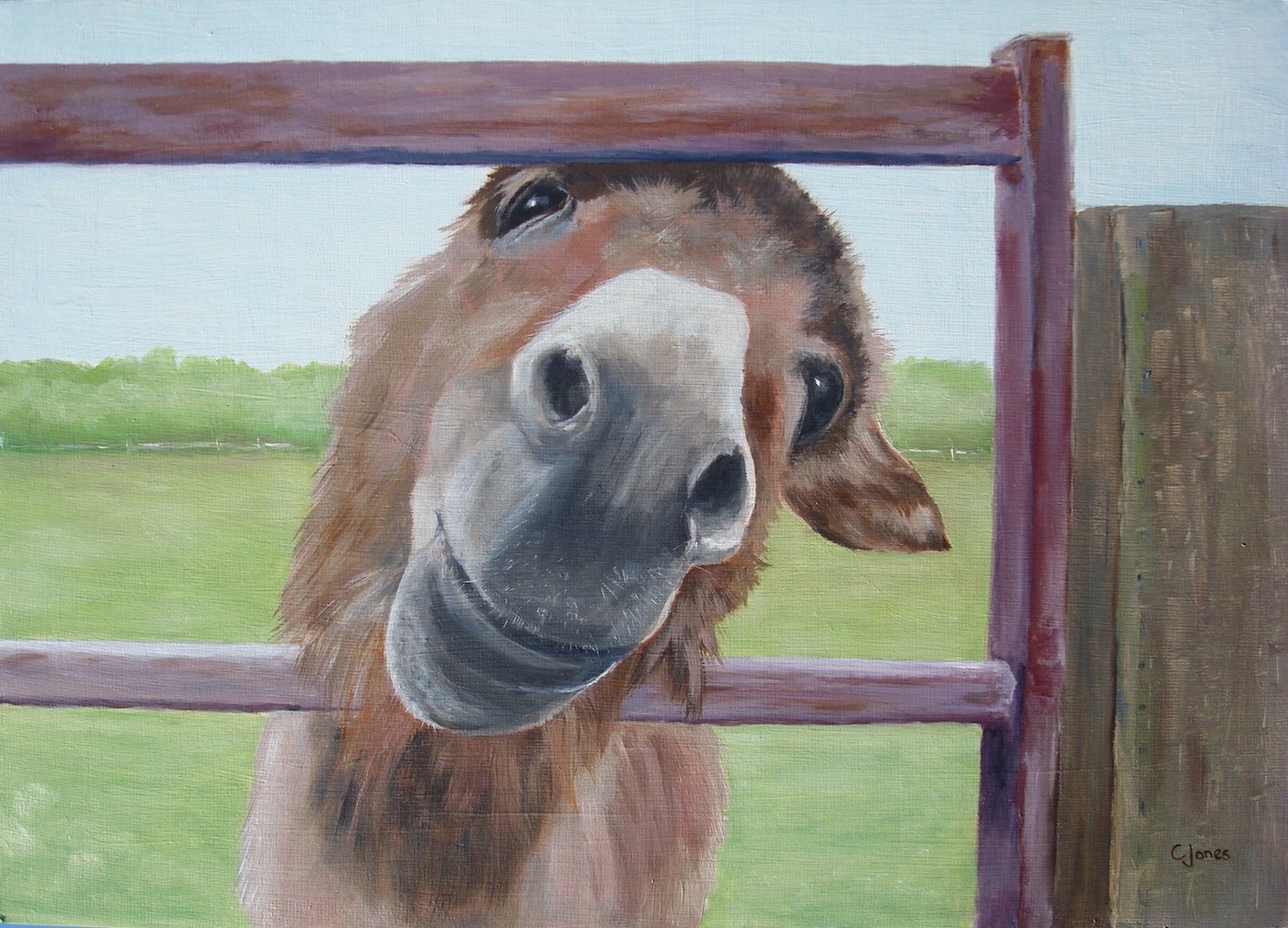 Holly the donkey