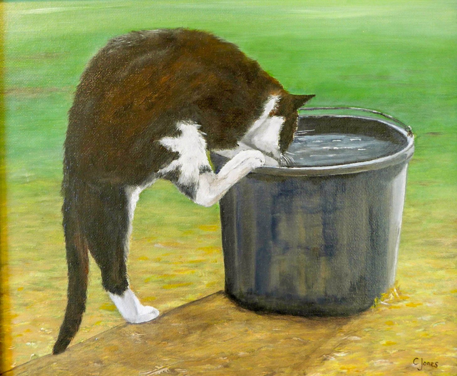 Farm Cat