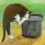 Farm Cat