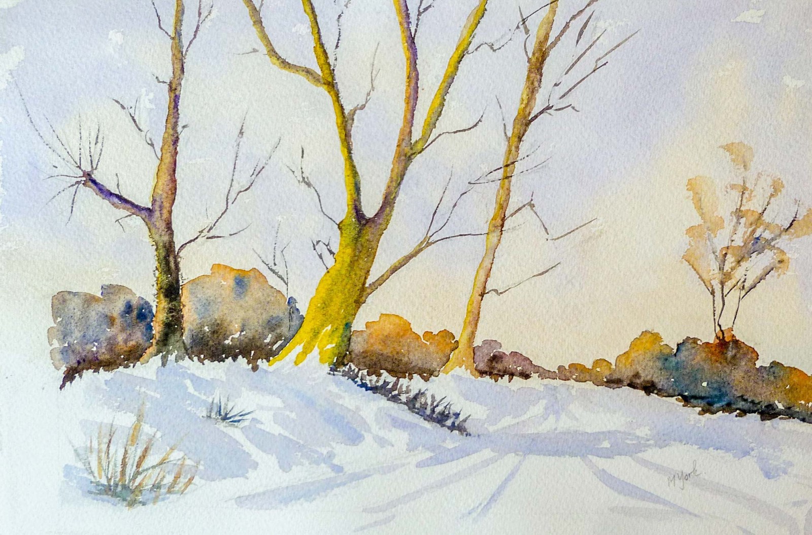Dibden Inclosure in snow
