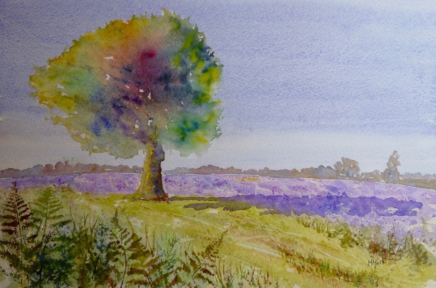 'Pig Bush' New Forest