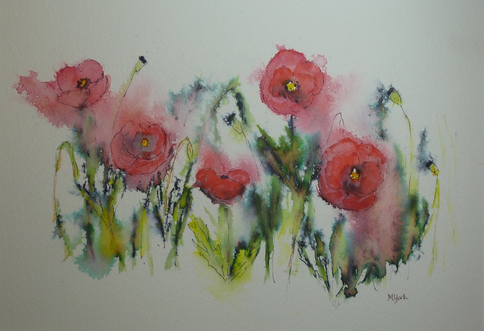 Poppies of the Ariege