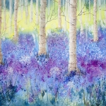 Bluebell Time
