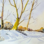 Dibden Inclosure in snow