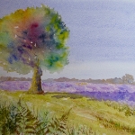 'Pig Bush' New Forest