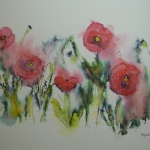 Poppies of the Ariege