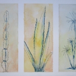 Spiky-Three