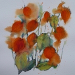 chinese-lanterns