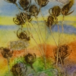 Teasels at Keyhaven, Lymington